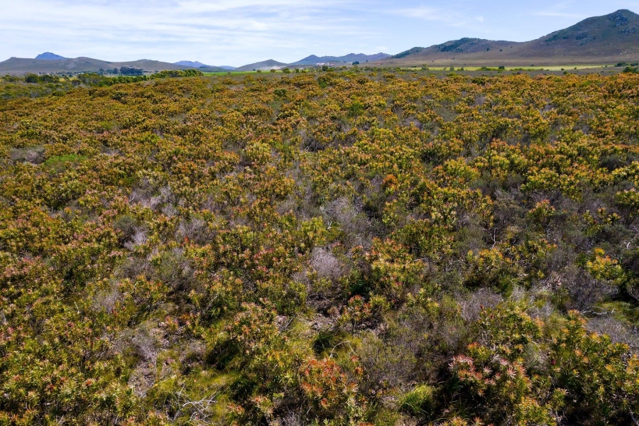 0 Bedroom Property for Sale in Humansdorp Rural Eastern Cape